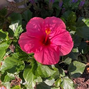 Meet your Posher, Cathy